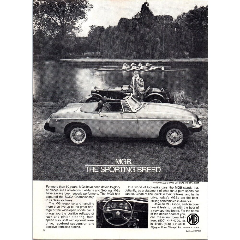1980 MG MGB Convertible Roadster Vintage Print Ad Rowing Crew River Wall Art